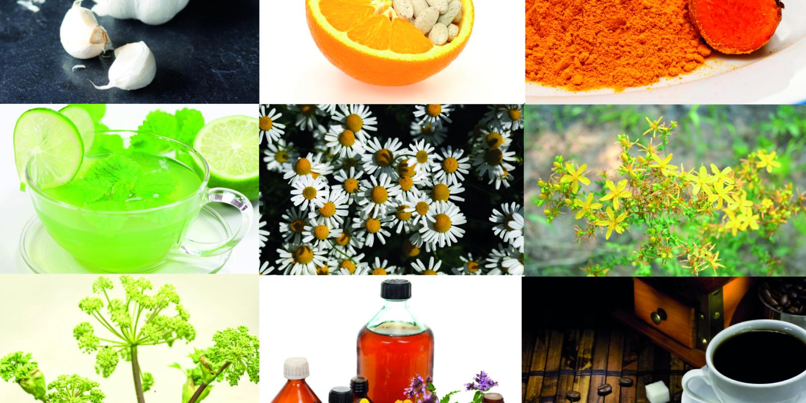 Collage av ulike urter og mat som ofte brukes mot helseproblem.