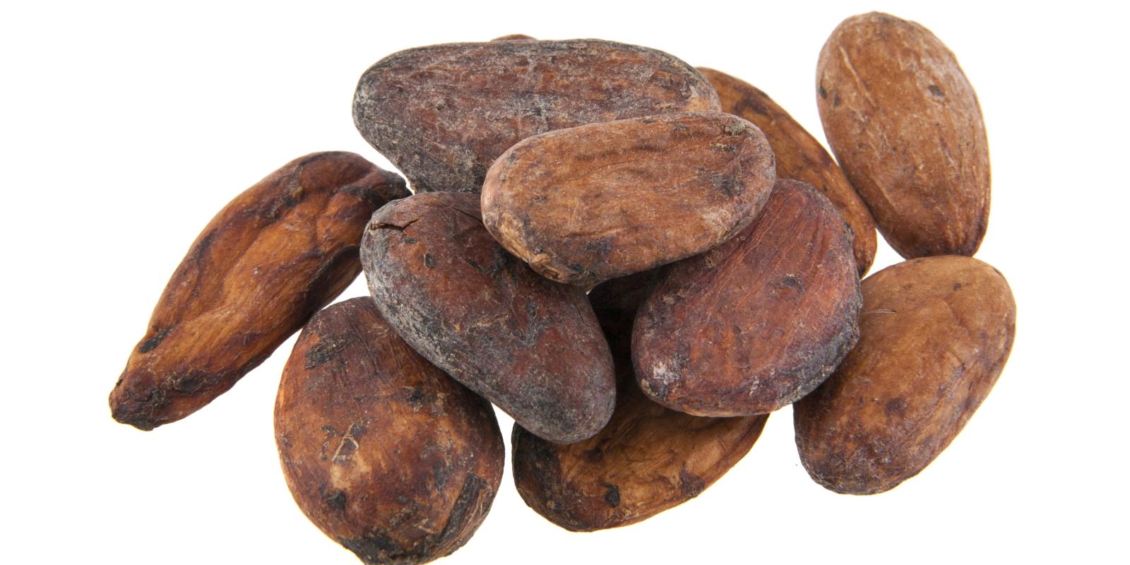 Bilde av kakaobønner