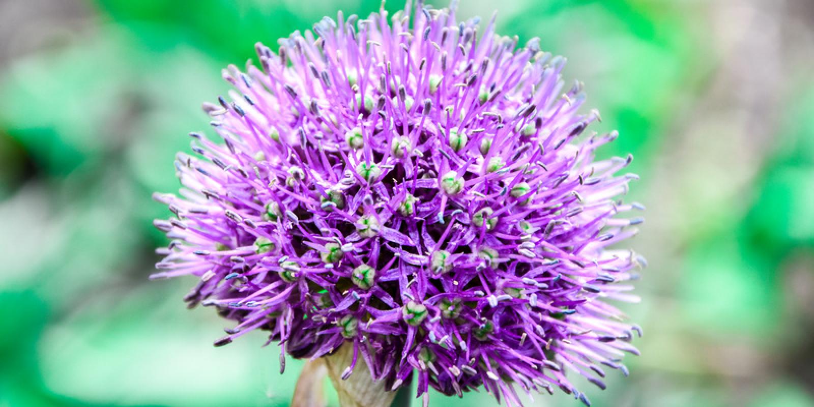 Illustrasjonsfoto: mostphotos.com