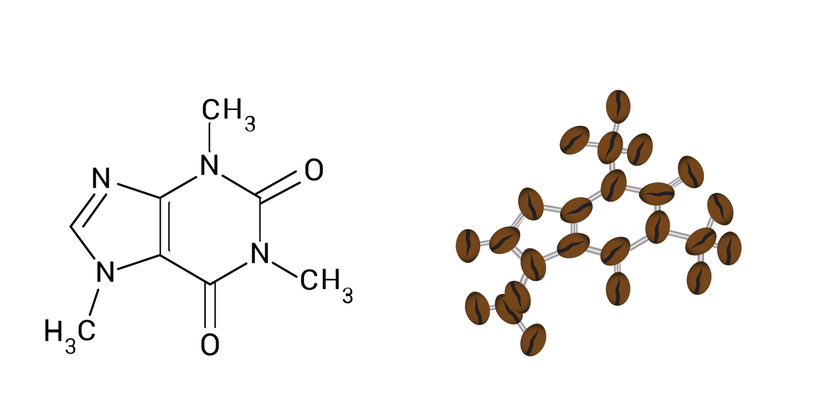 Kjemisk struktur for koffein. Illustrasjon: Tine og Odd-Magne v/NAFKAM 2019