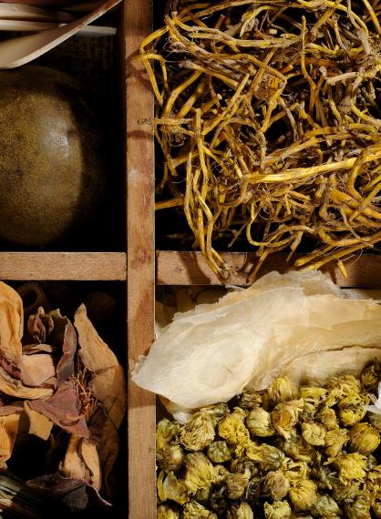 Fotomontasje fra colourbox som illustrerer tradisjonelle urter