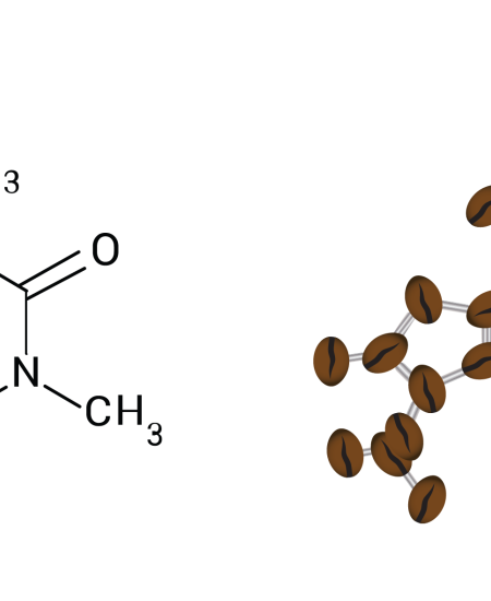 Kjemisk struktur for koffein. Illustrasjon: Tine og Odd-Magne v/NAFKAM 2019