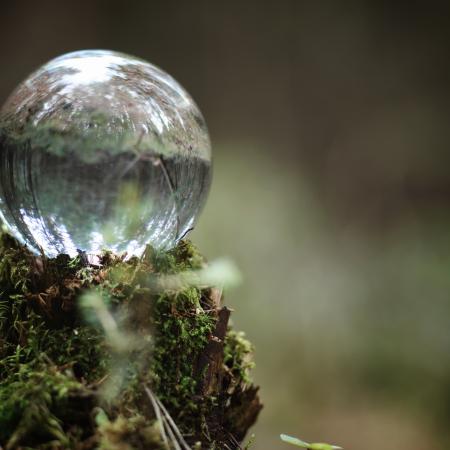 Glasskule i naturen. Illustrasjon: Colourbox.com
