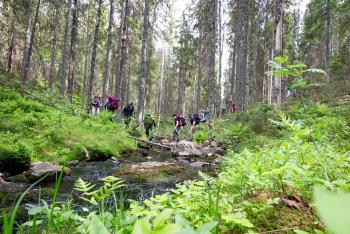 Bilde av mennesker som går gjennom en skog. 